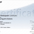 Ampliar imagen: certificate 4