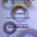 Ampliar imagen: certificate 11