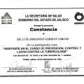 Ampliar imagen: certificate 14