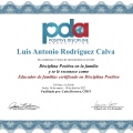Ampliar imagen: certificate 1