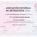Ampliar imagen: certificate 35