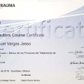 Ampliar imagen: certificate 31