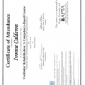 Ampliar imagen: certificate 4