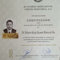 Ampliar imagen: certificate 2
