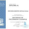 Ampliar imagen: certificate 3