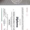 Ampliar imagen: certificate 9