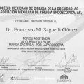Ampliar imagen: certificate 8
