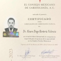 Ampliar imagen: certificate 3