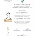 Ampliar imagen: certificate 3