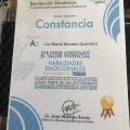 Ampliar imagen: certificate 6