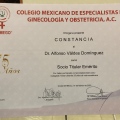 Ampliar imagen: certificate 3