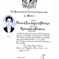 Ampliar imagen: certificate 4