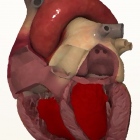 Dr. Luis Lasso Rodríguez