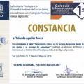 Ampliar imagen: certificate 17