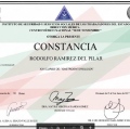 Ampliar imagen: certificate 7