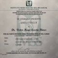 Ampliar imagen: certificate 5