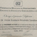 Ampliar imagen: certificate 25