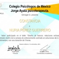 Ampliar imagen: certificate 6