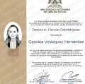 Ampliar imagen: certificate 1