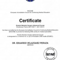 Ampliar imagen: certificate 3