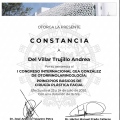 Ampliar imagen: certificate 8