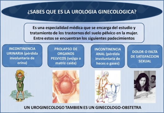 Vicente Manuel Miranda Sevilla-4