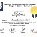 Ampliar imagen: certificate 6