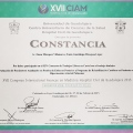 Ampliar imagen: certificate 7