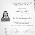 Ampliar imagen: certificate 5