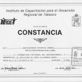 Ampliar imagen: certificate 19