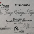 Ampliar imagen: certificate 2