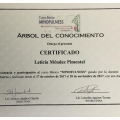 Ampliar imagen: certificate 8