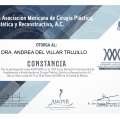 Ampliar imagen: certificate 17