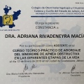 Ampliar imagen: certificate 3