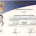 Ampliar imagen: certificate 2