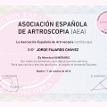 Ampliar imagen: certificate 6