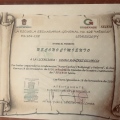 Ampliar imagen: certificate 8