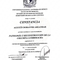 Ampliar imagen: certificate 41