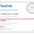 Ampliar imagen: certificate 7