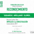Ampliar imagen: certificate 24