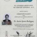 Ampliar imagen: certificate 1
