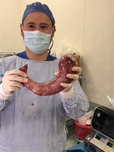 David Javier Orozco Aguet-6