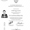 Ampliar imagen: certificate 2