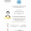 Ampliar imagen: certificate 1