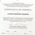 Ampliar imagen: certificate 4