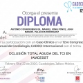 Ampliar imagen: certificate 17