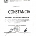 Ampliar imagen: certificate 6