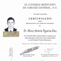Ampliar imagen: certificate 1