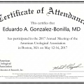 Ampliar imagen: certificate 3