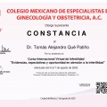 Ampliar imagen: certificate 24